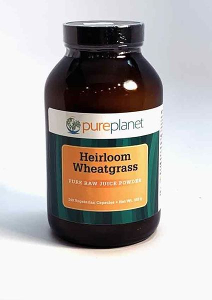 Organic Wheatgrass, Pure Planet, immunity, immune function, fatigue, increase energy, energy, detox, detoxification, digestion, alkalize the body